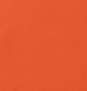 Classic Carrot Orange