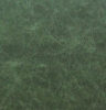 Distressed Green Leather